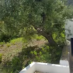 Hébergement de vacances Cugnimuzzo