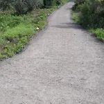 Hébergement de vacances Cugnimuzzo
